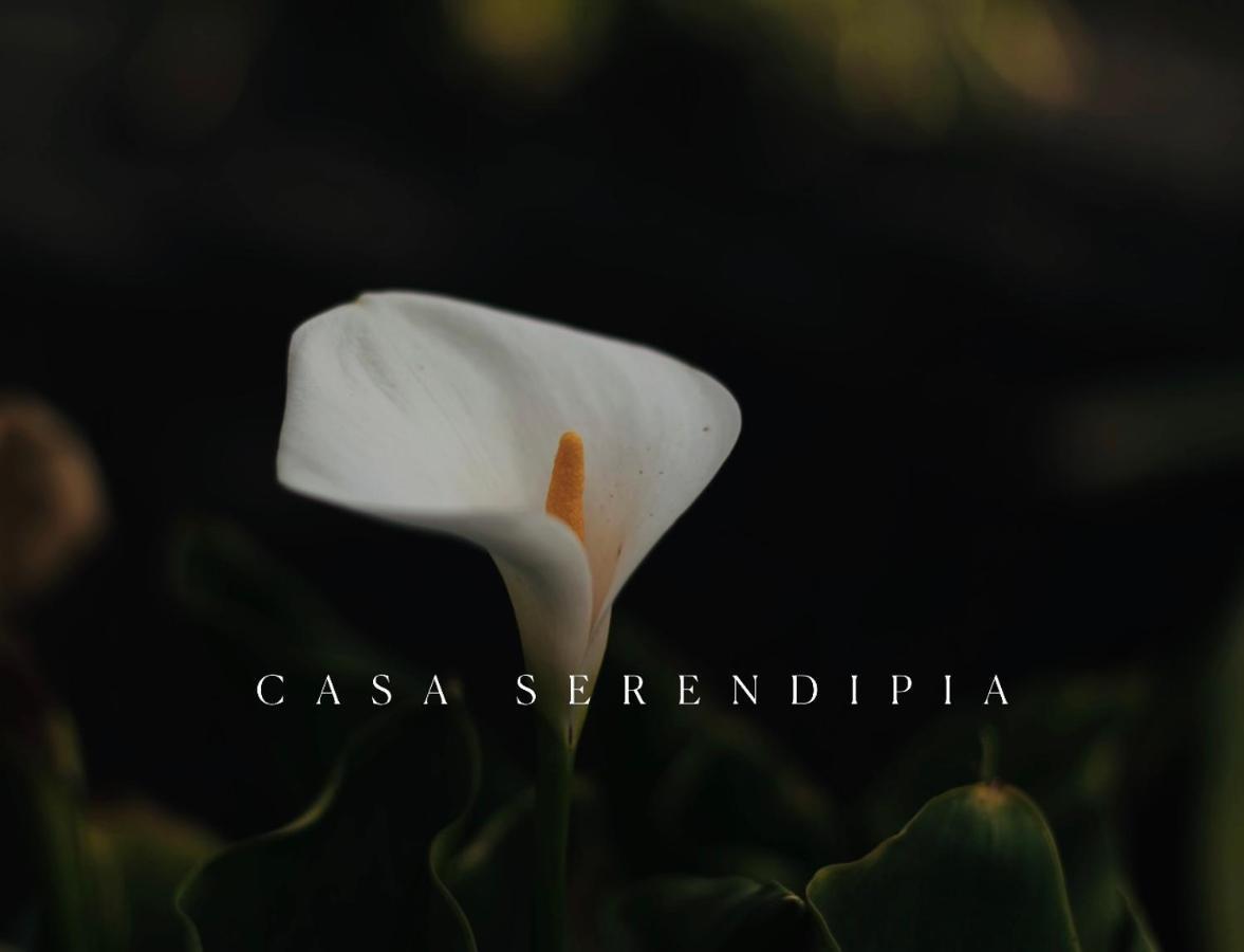 Casa Serendipia La Asomada  Eksteriør billede